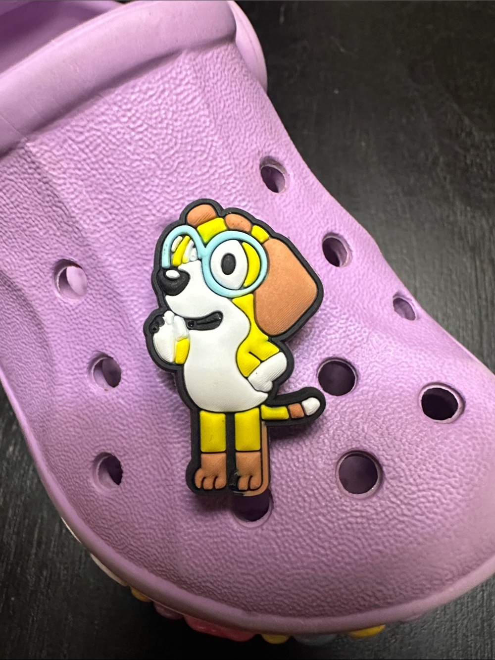 Bluey character shoe charms. Honey I believe.